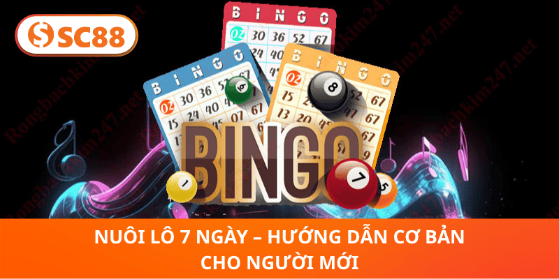 Nuôi Lô 7 Ngày – Hướng Dẫn Cơ Bản Cho Người Mới